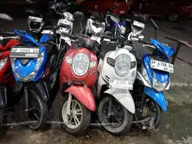 motor bekas berkualitas