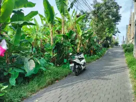 JUAL TANAH KEROBOKAN KESAMBI TERMURAH
