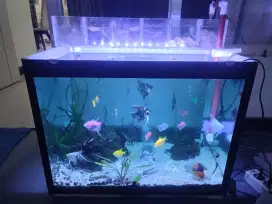 Aquarium Kaca 6mm keliling alas 6mm