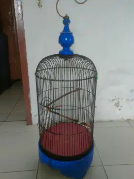 Sangkar burung kapsul