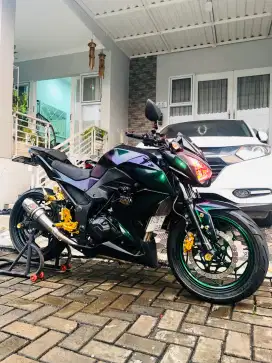 Kawasaki Z250 Tahun 2015 warna bunglon