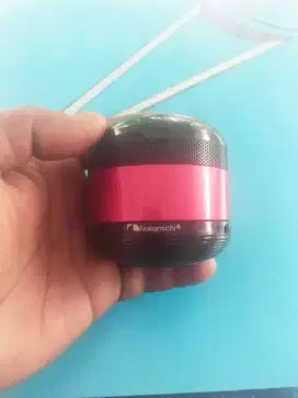 Speaker nakamichi