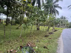 Tanah dijual dipinggir jalan wisata walur