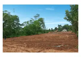 1,6 Jt/m Tanah Di Jalan Kaliurang Dekat Kopi Klotok