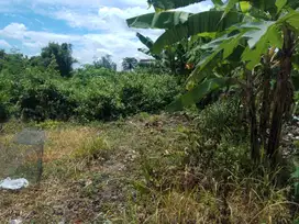 Tanah Kavling Murah Luas 72 m2 Hanya 65 Juta Saja