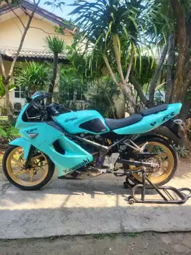 Kawasaki Ninja RR 2012
