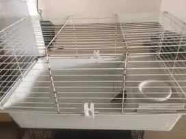 JUAL KANDANG HEWAN KELINCI, GUINEA PIG, Dll