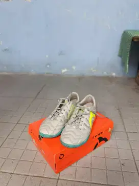 Ortuseight Jogosala Rampage v2