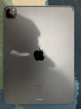 Ipad pro 11 inch M1 wifi only