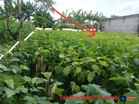 Jual Tanah Pekarangan Ringinrejo Kab. Kediri