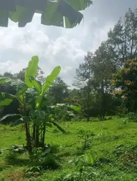DIJUAL TANAH KOSONG DI ATAS TAMAN DAYU PRIGEN PASURUAN NOL JALAN PROV