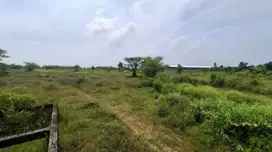 DIJUAL TANAH DI PELANG LAMONGAN MURAH BISA NEGO