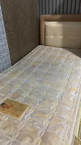 PL Kasur + Divan Winner Springbed uk 120 x 200