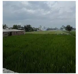 Lahan Strategis 3,1 Ha Bojongmalaka Dekat Tol & Telkom Univ