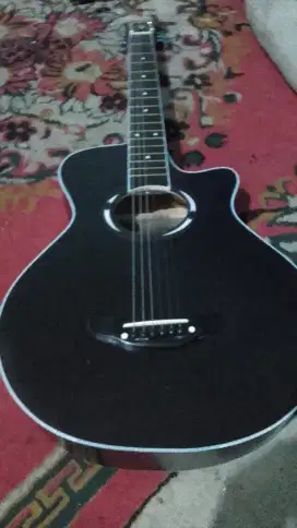 Yamaha apx , custom