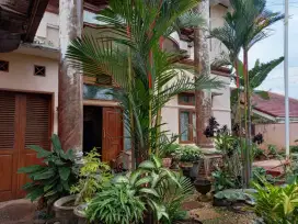 Rumah keluar full furnish 2 lantai with garden