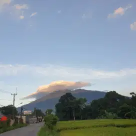 Bismillah cari kerja