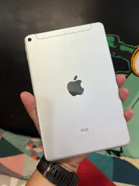 iPad Mini 5 256 GB Wifi Cell