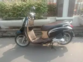 Honda scoopy 2013