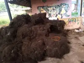 Ijuk resapan 1 bal