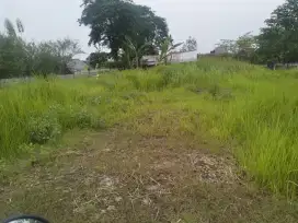 Disewakan tanah kosong