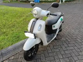 Fazzio Tahun 2022