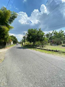 Tanah Humus dekat Jl. Palagan Km 12 Harga  2,3jt/ M2 SHM Pekarangan