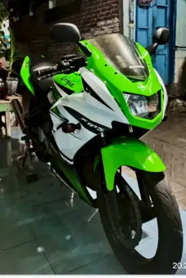 Ninja KRR new 2014
