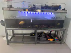 AQUARIUM TANK 2 METER
