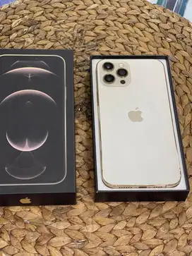 Iphone 12 promax 256 resmi ibox
