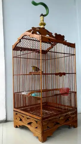 BURUNG KESAYANGAN MULUS GACOR PLUS SANGKAR