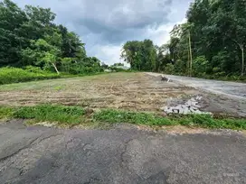 Buka Usaha? Bangun Kos? Lokasi Ini Strategis Dekat UII!