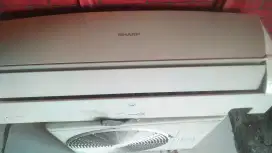 Ac sharp 1/2 PK