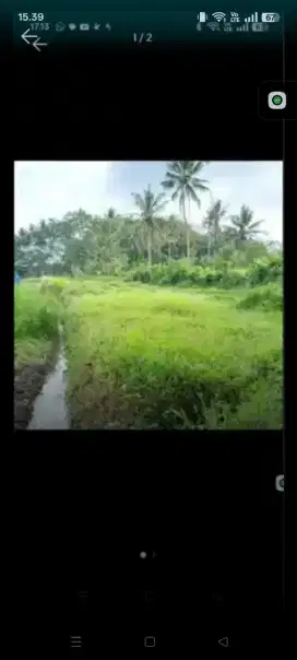 DIJUAL TANAH DEKAT UNIVERSITAS TIDAR MAGELANG