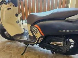 Honda Scoopy 2011