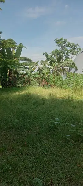 Dijual Tanah Strategis di Bawah Harga Pasar
