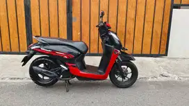 GENIO CBS 2022 DP500rb