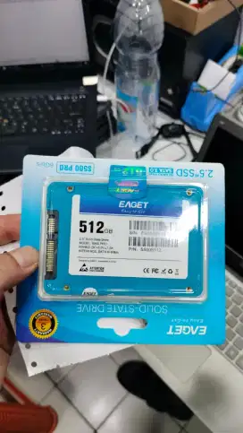 SSD EAGET S500 PRO