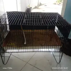 Di jual kerambah mandi burung