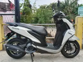 Yamaha freego th 2019 DP mulai 500an