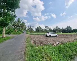 Dekat Kampus UII! Tanah SHM di Sleman Harga Terjangkau