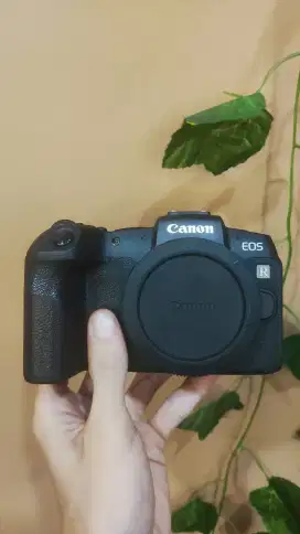 Canon Eos RP Likenew SC Rendah Body Only Fullset