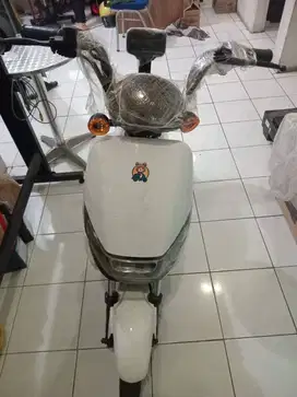 Sepeda Listrik Hybrid - Mech Division (BARU!) JJS Electric Xiong