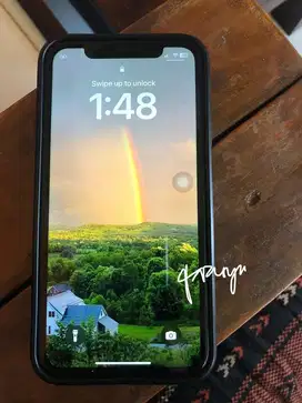 Iphone 11 inter