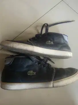 Sepatu Merk Lacoste