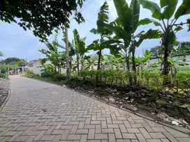 Lokasi Ciater: Kavling di Jual Murah, Dekat Gerbang Tol Serpong 7