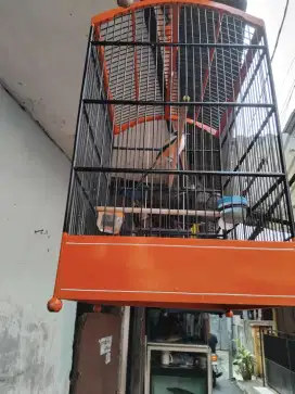 Pentet Cendet Jatim