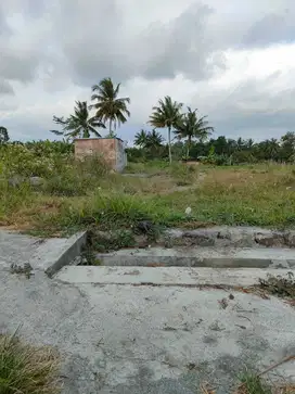 Di Jual Tanah Murah Mangku Jalan Aspal Utara Sleman City Hall Jogja