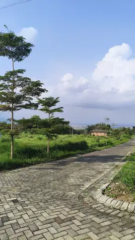 Tanah Lokasi Asri View Pegunungan Samping Kampus UIN 3 Dau Malang