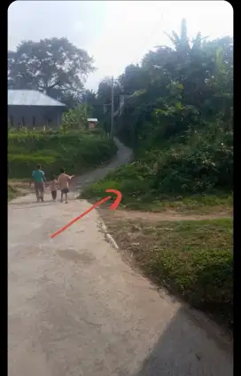 Tanah dekat kota singaraja
